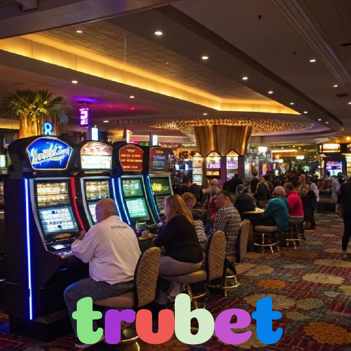  trvbet