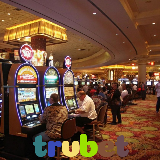  trvbet