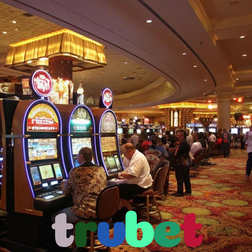  trvbet