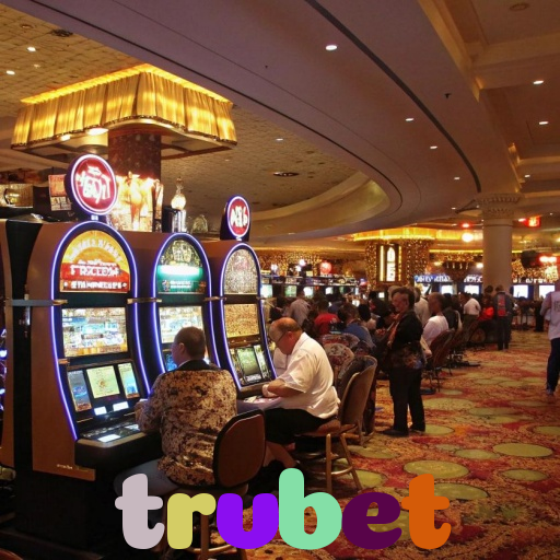  trvbet