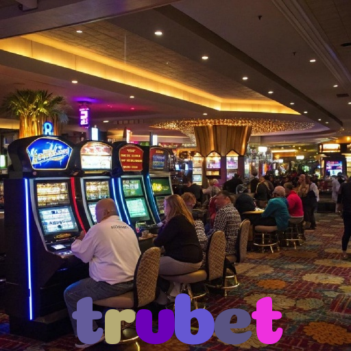  trvbet