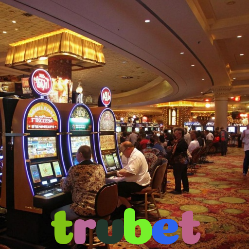  trvbet
