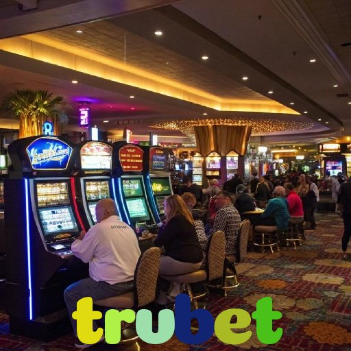  trvbet