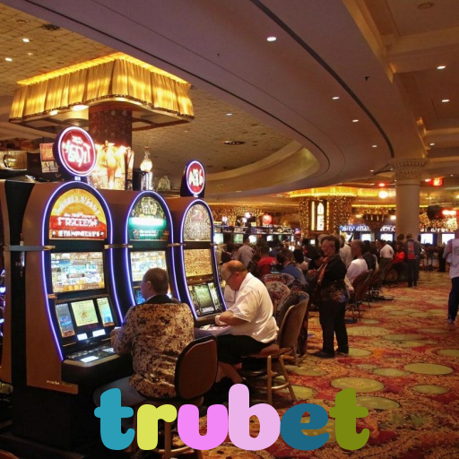  trvbet